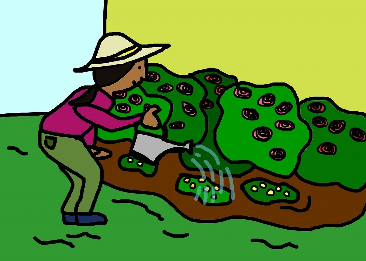 创意之旅，从想象到现实的我们的故事漫画之旅