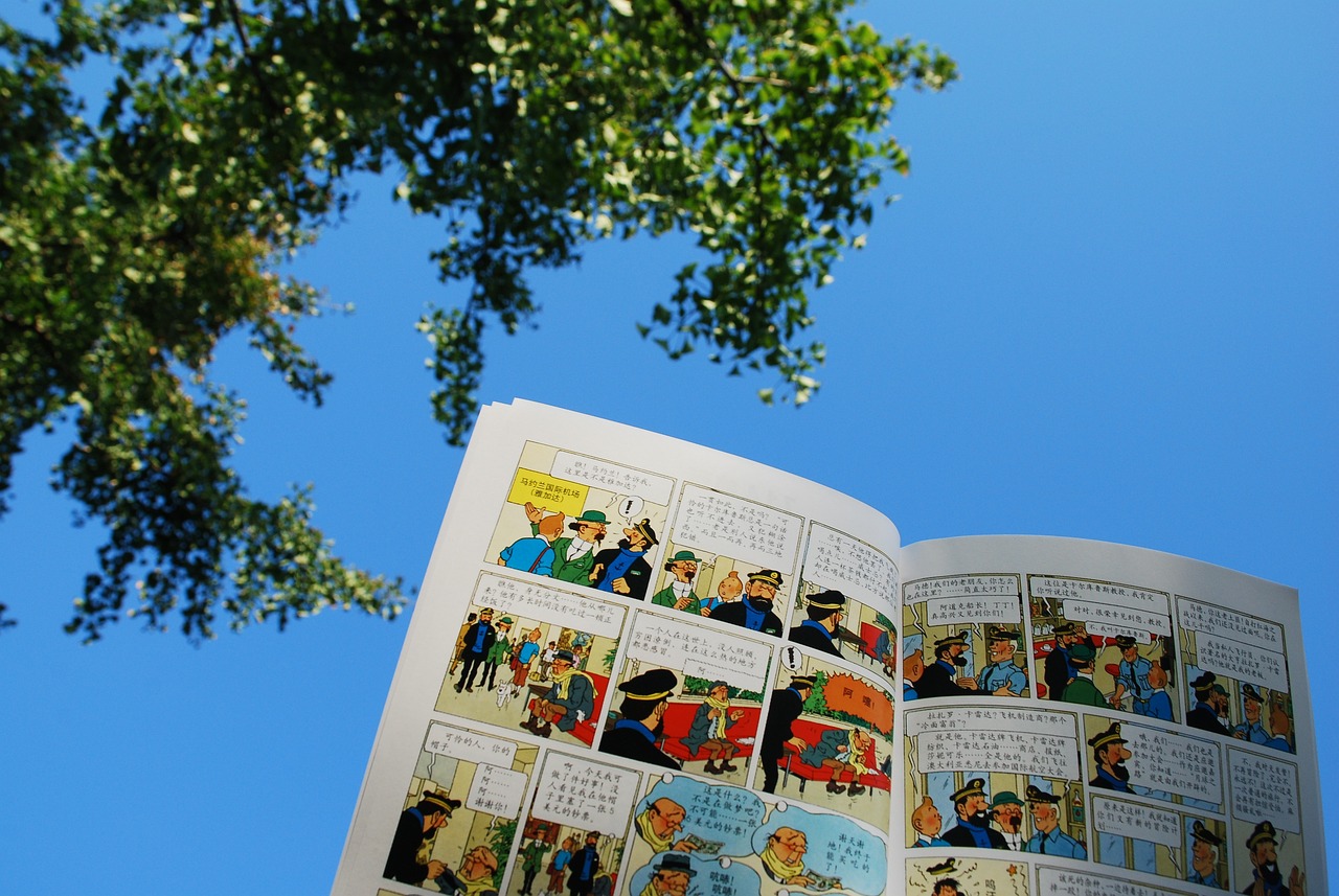 丁丁历险记漫画，冒险与勇气的视觉盛宴