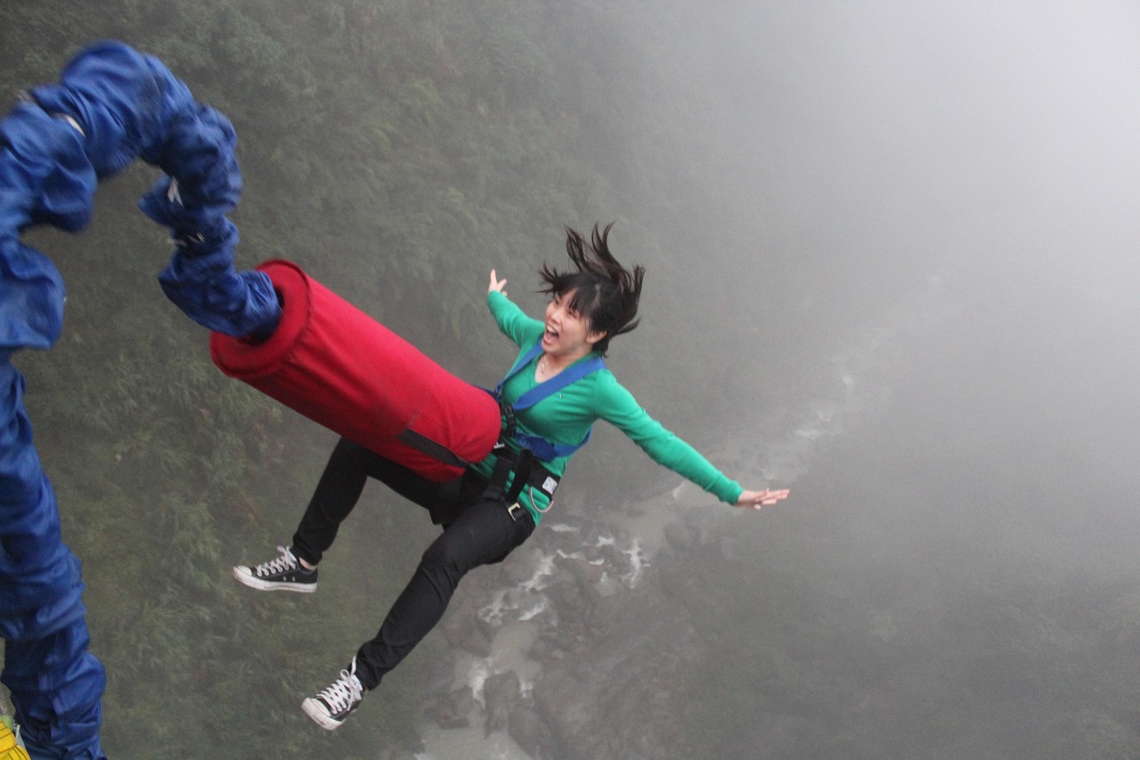 死神336，生与死的交织探索之旅