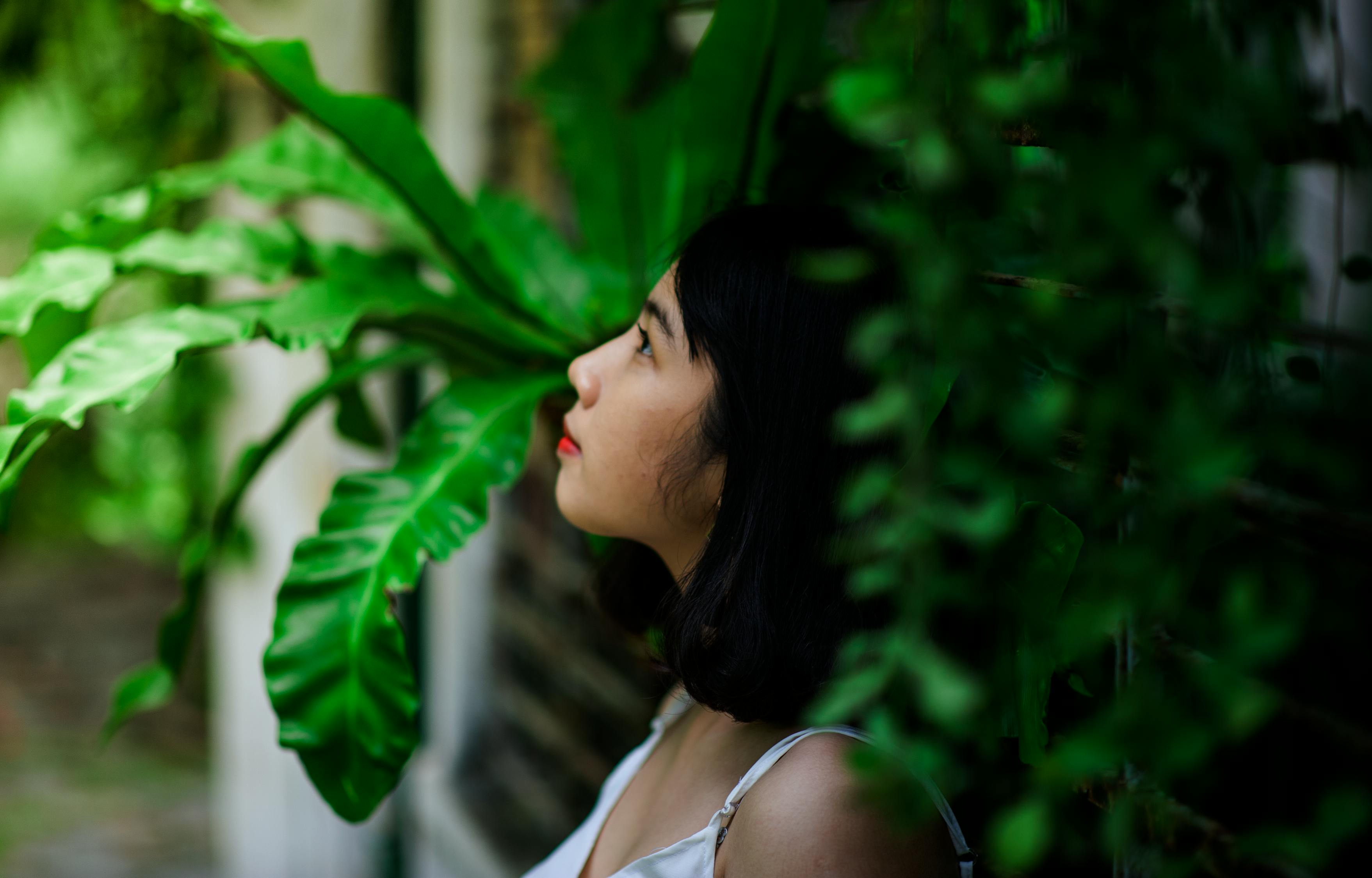 动漫美眉，魅力世界的探索