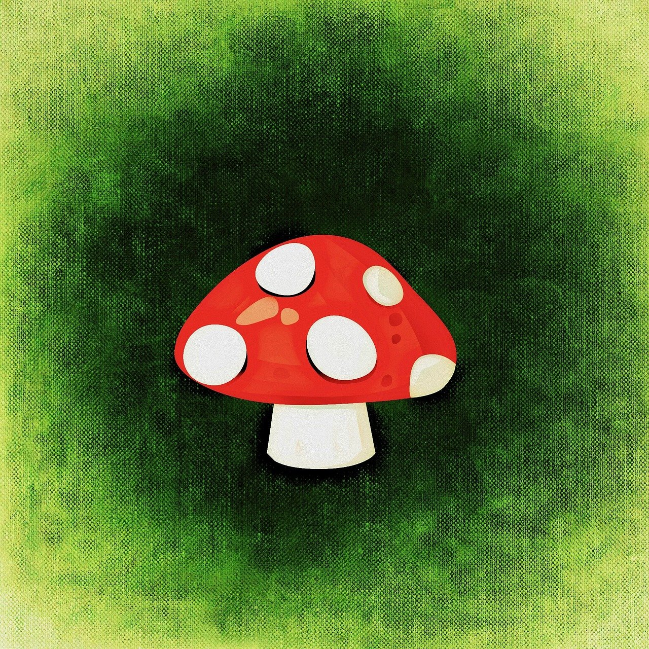 双色球奖池的魅力，探寻彩票背后的秘密