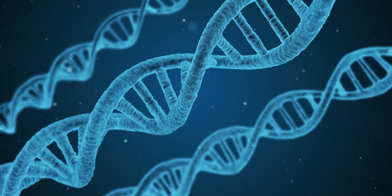 揭秘与探索，3D开奖结果查询号码真相及实时结果查询号码是多少？