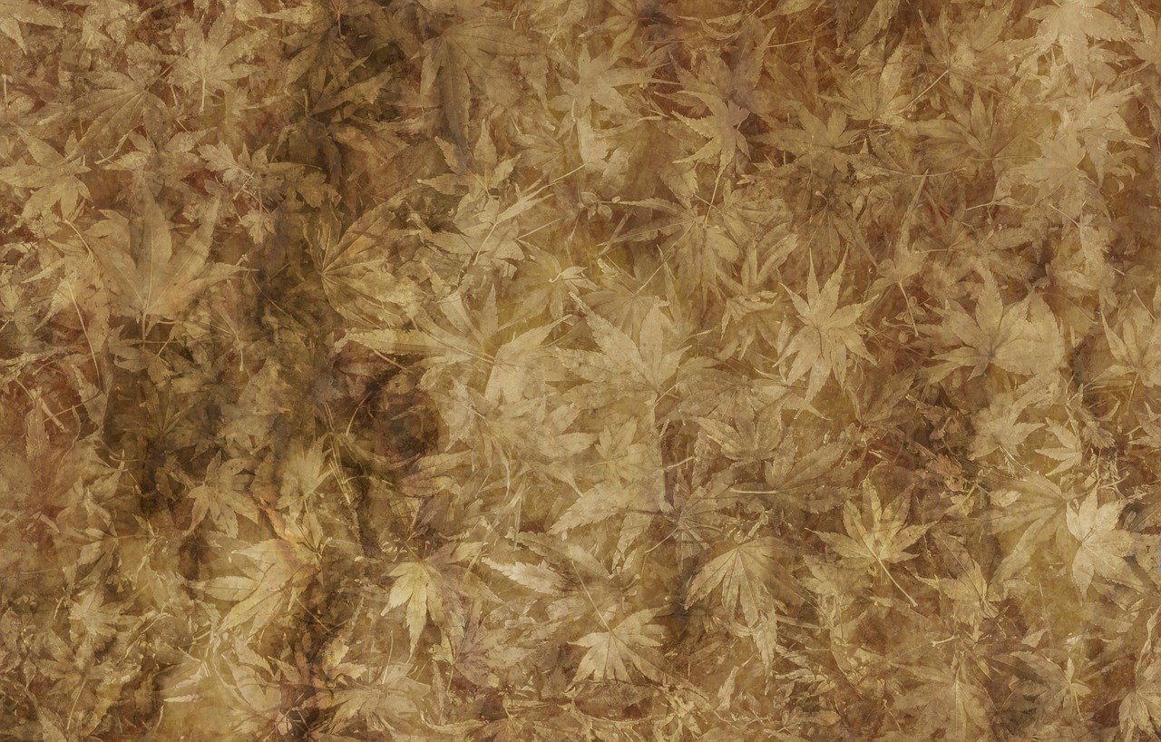 双色球3D彩经网，探索数字彩票新世界的新指南