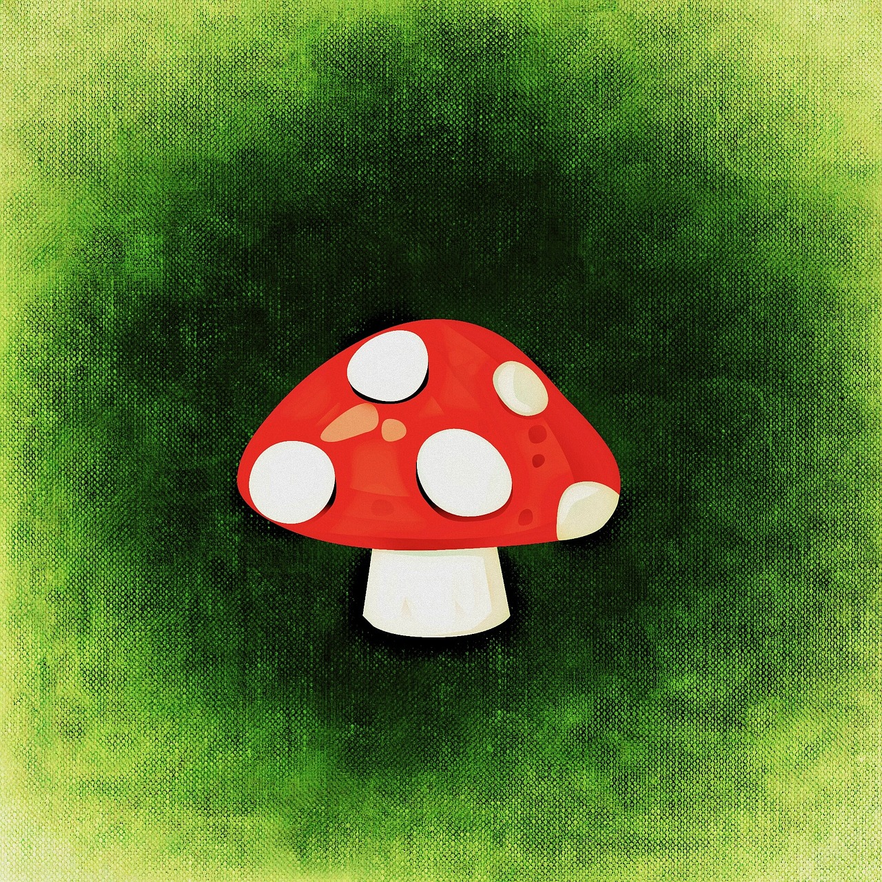 双色球奖，梦想与希望的光芒实现之地